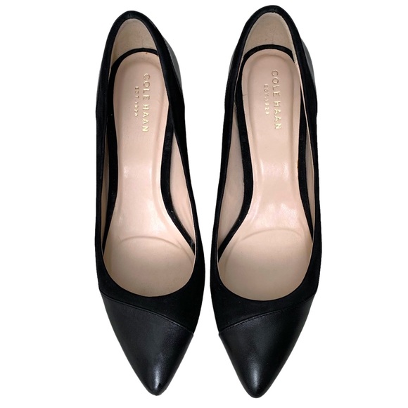 Cole Haan size 7 suede leather pointed stiletto heels NWOT mixed texture - Picture 2 of 7
